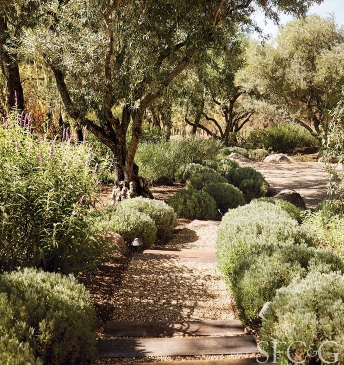 The garden and the pool at Casa Tosalet