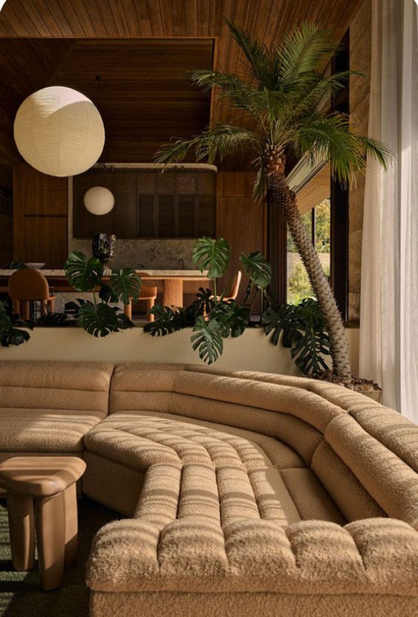 A lounge with deep shade and low furniture