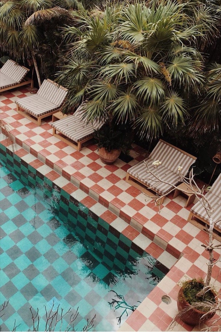 The pool terrace among the pines